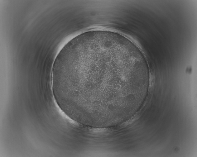 X0000115121247200911171321