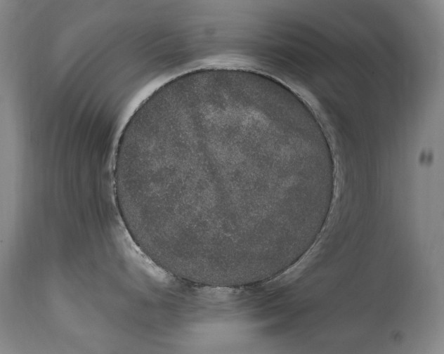 X0000115121248200911171321