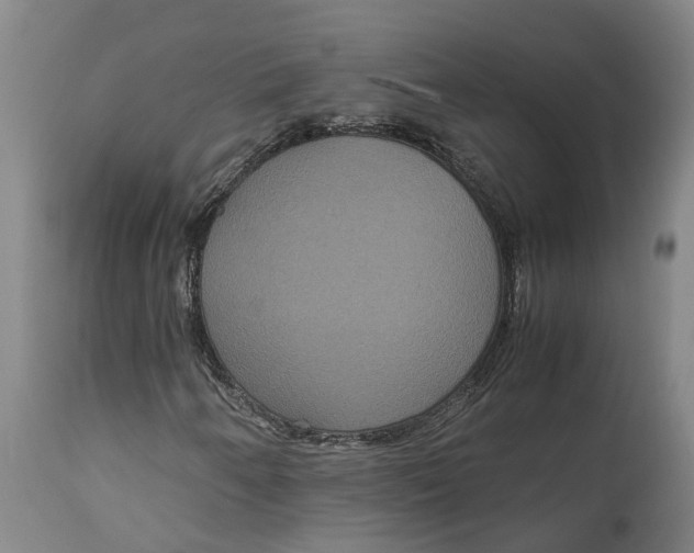X0000115121250200911171320