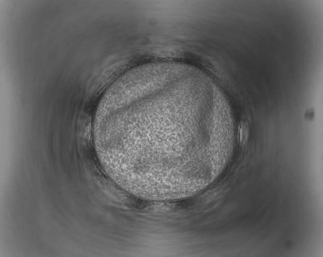 X0000115121251200911171320