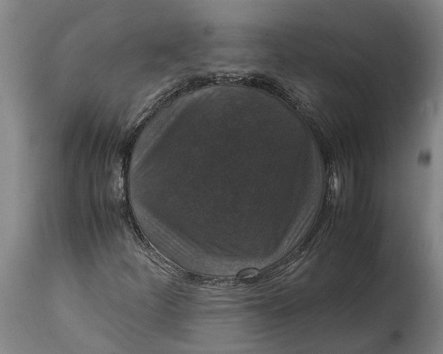 X0000115121252200911171320