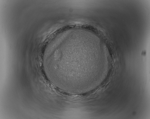 X0000115121253200911171320
