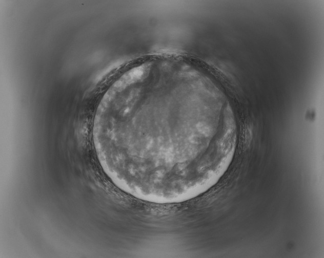 X0000115121254200911171320