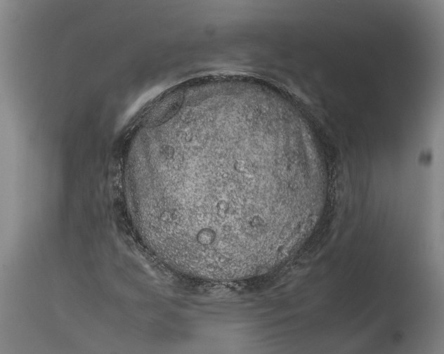 X0000115121255200911171320