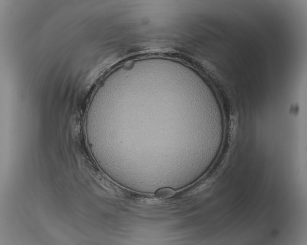 X0000115121257200911171320