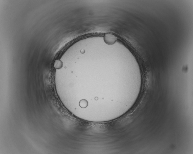X0000115121258200911171320