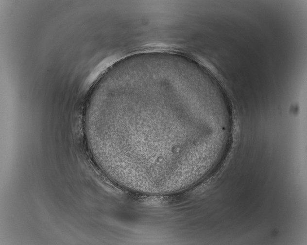 X0000115121259200911171320