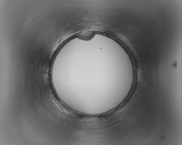 X0000115121260200911171320