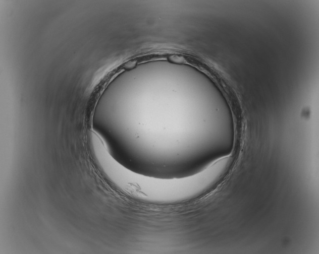 X0000115121261200911171320