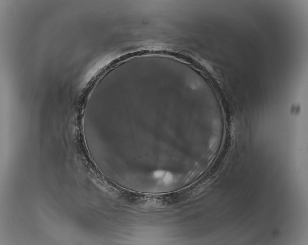 X0000115121263200911171320