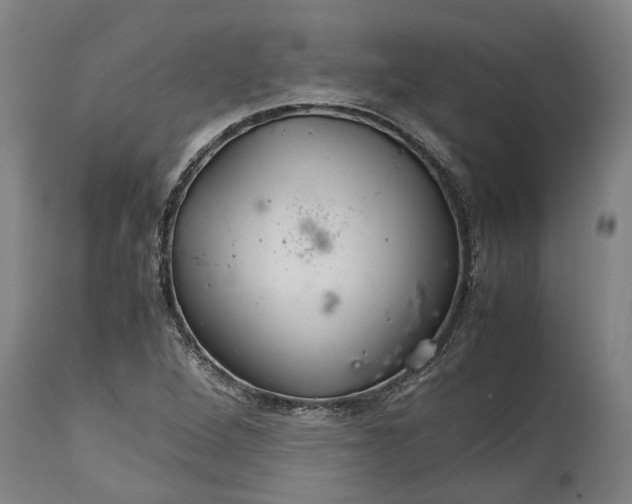 X0000115121264200911171320