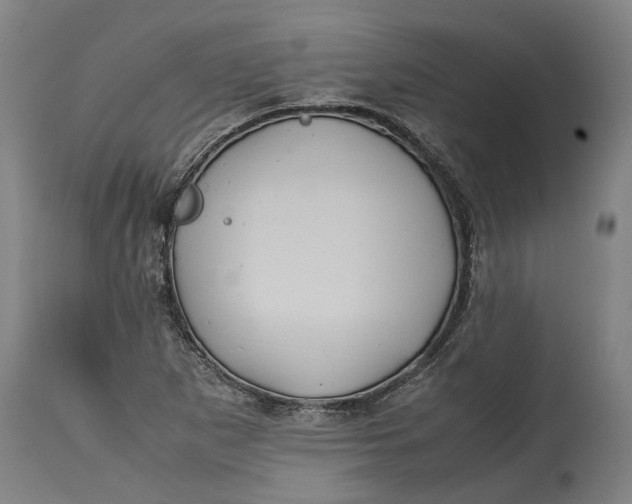 X0000115121265200911171320