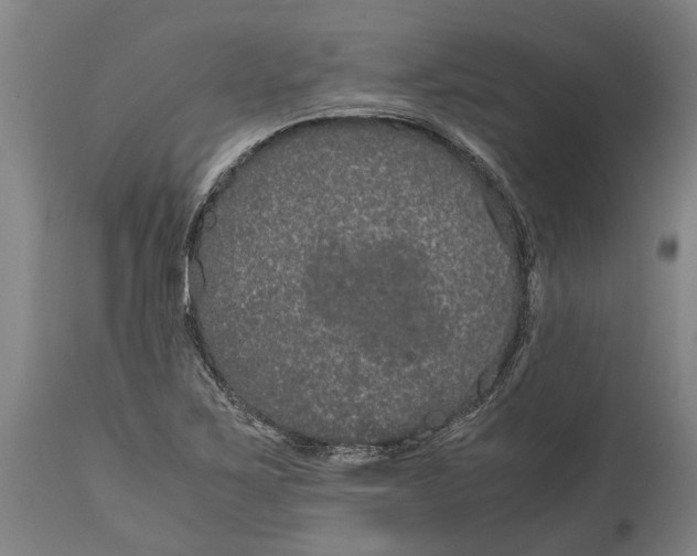 X0000115121267200911171320