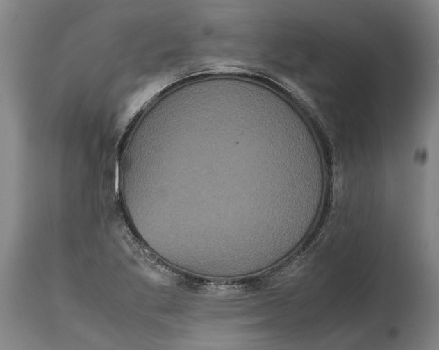 X0000115121269200911171320