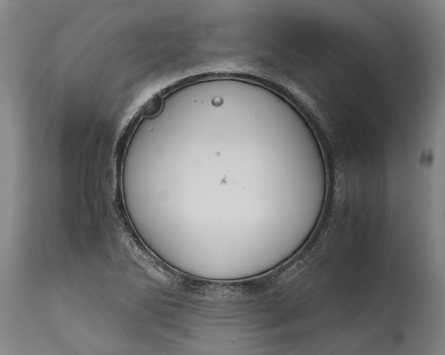 X0000115121270200911171320