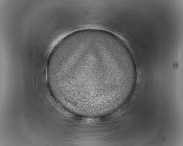 X0000115121271200911171320