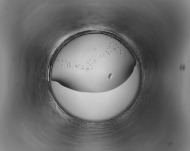 X0000115121272200911171320