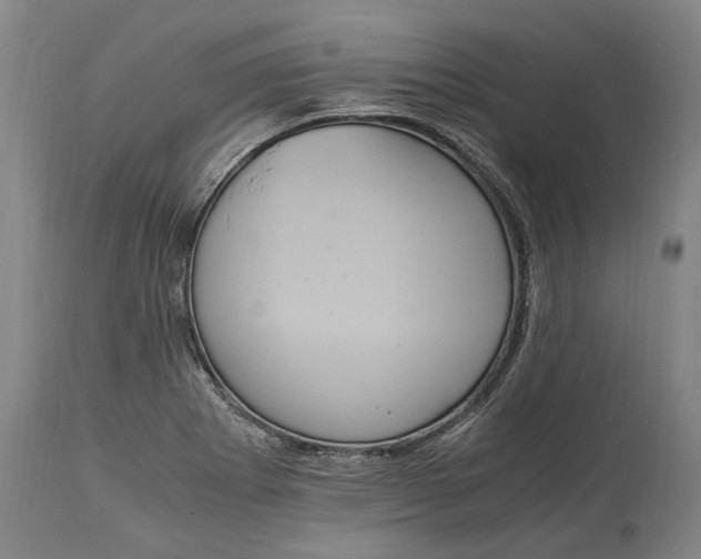 X0000115121273200911171320