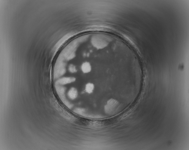 X0000115121275200911171320
