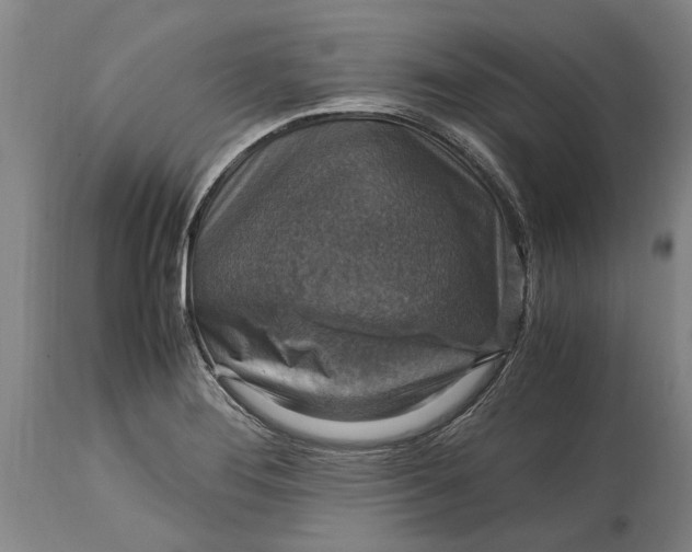 X0000115121276200911171320