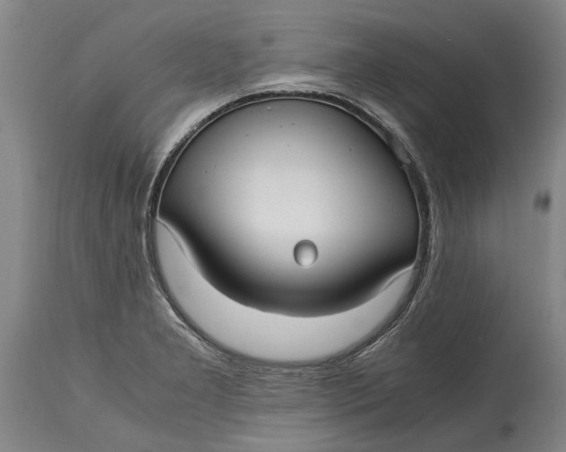 X0000115121277200911171320