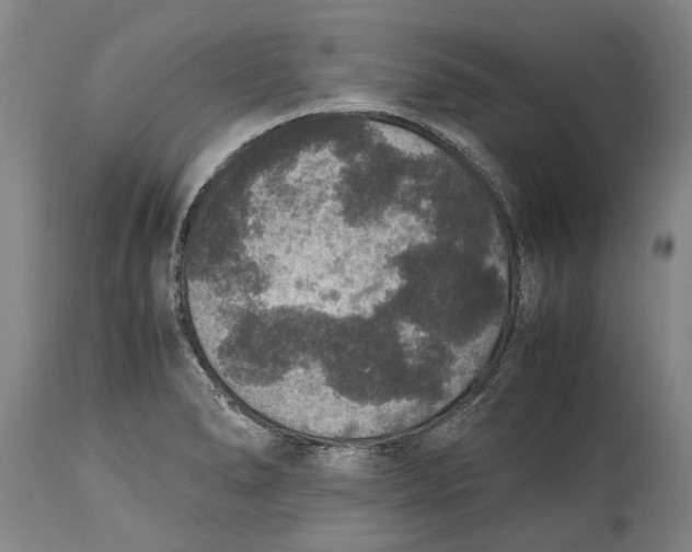 X0000115121278200911171320