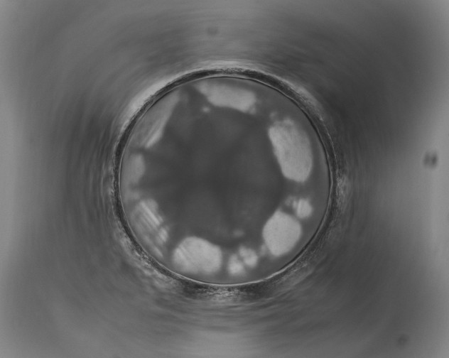 X0000115121279200911171320
