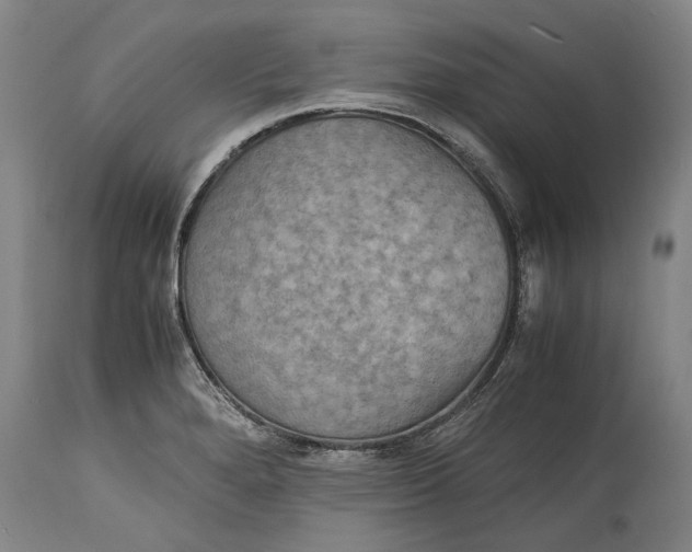 X0000115121280200911171320