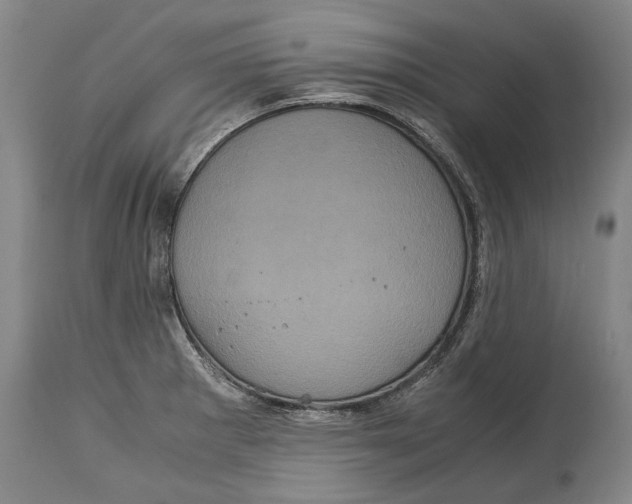 X0000115121281200911171320