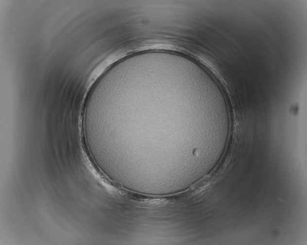 X0000115121282200911171320