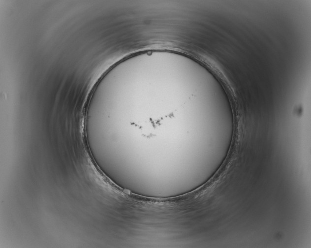 X0000115121284200911171319