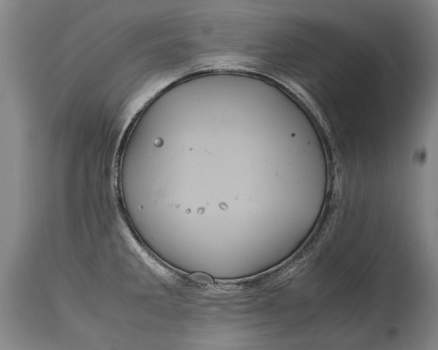 X0000115121285200911171319