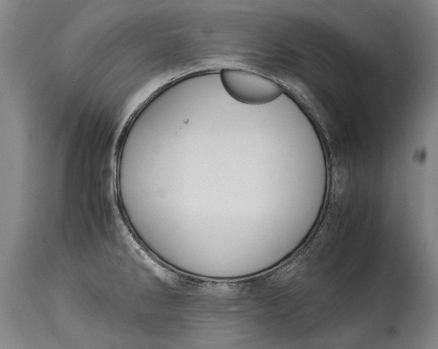 X0000115121286200911171319