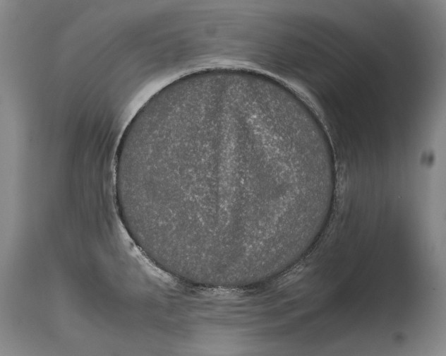 X0000115121287200911171319