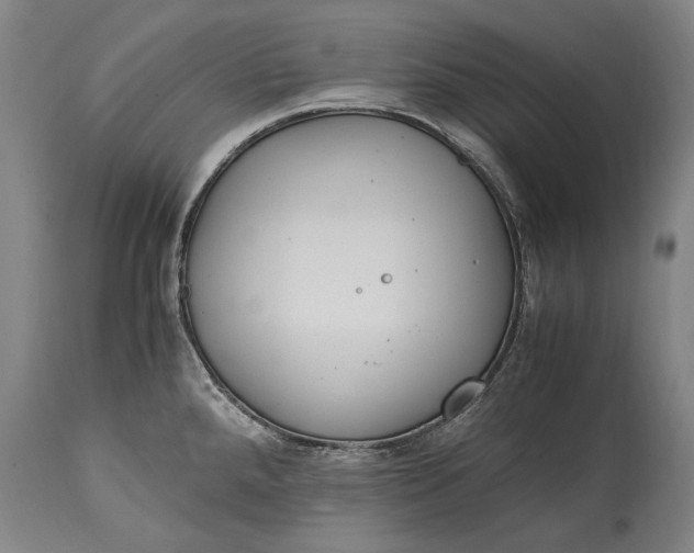 X0000115121288200911171319