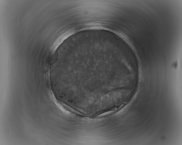 X0000115121289200911171319
