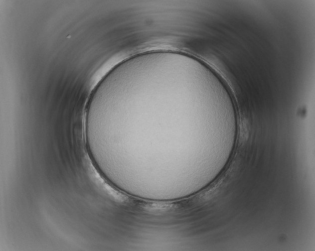 X0000115121290200911171319