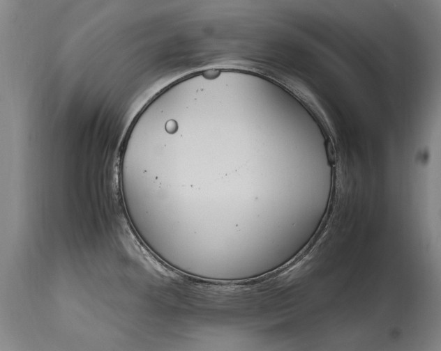 X0000115121292200911171319