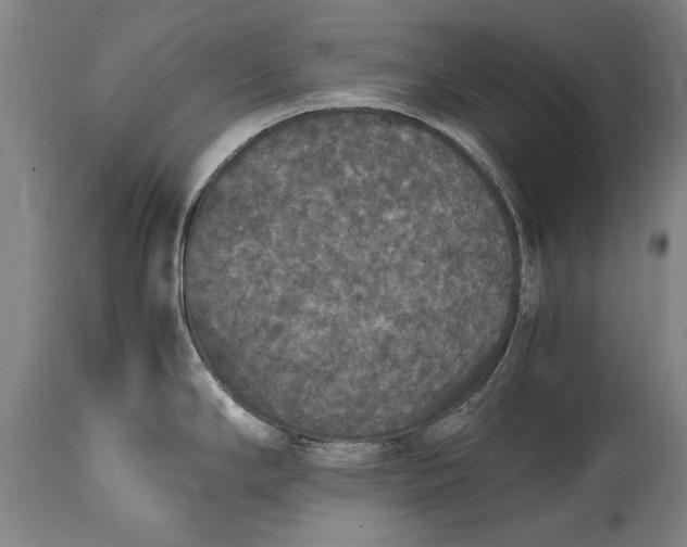 X0000115121294200911171319