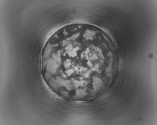X0000115121295200911171319