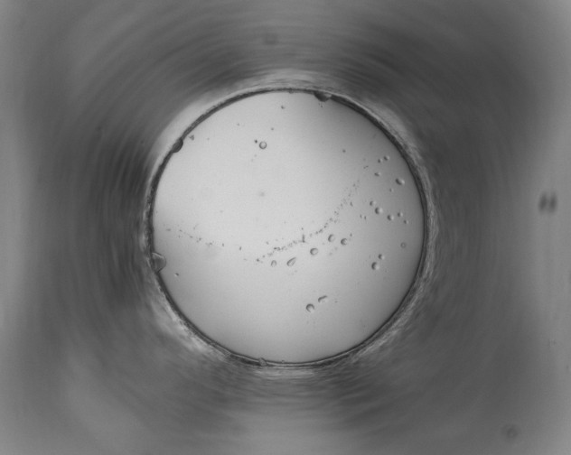 X0000115121296200911171319