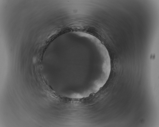 X0000115121297200911171319