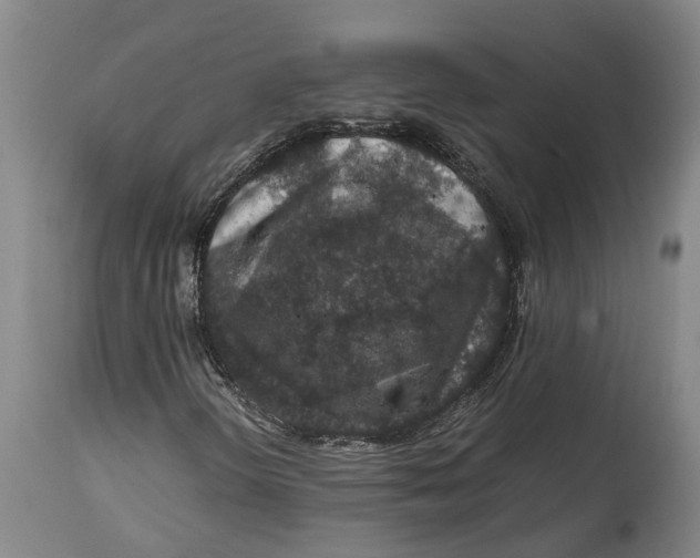 X0000115121298200911171319