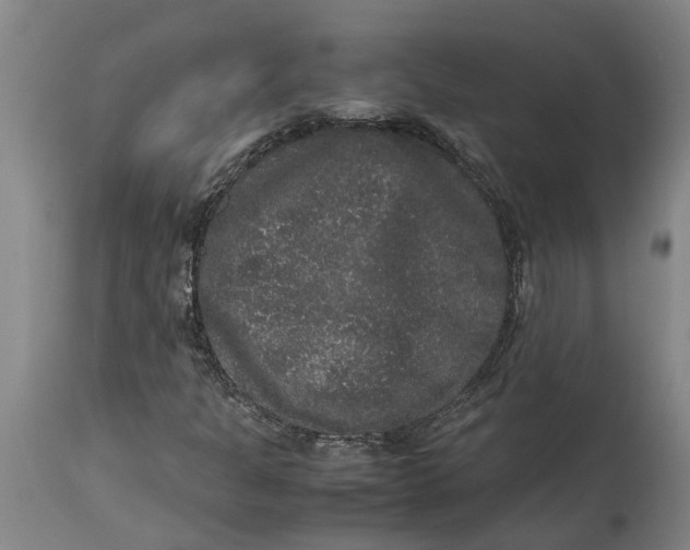 X0000115121301200911171319