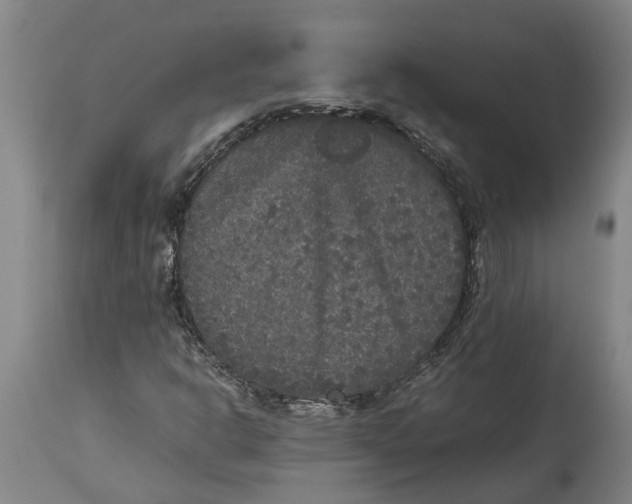 X0000115121302200911171319
