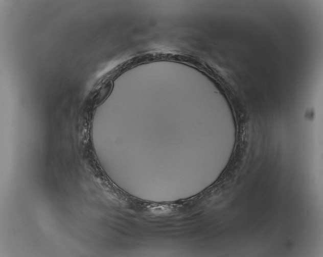 X0000115121303200911171319