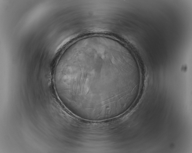 X0000115121306200911171319