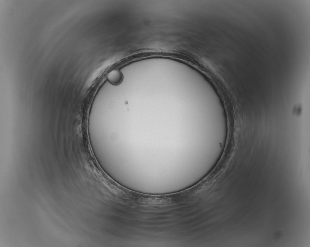 X0000115121307200911171319