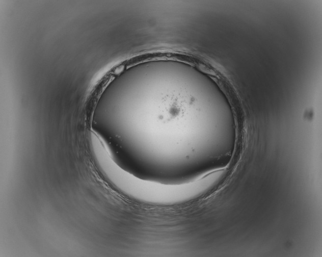 X0000115121310200911171319