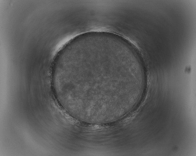 X0000115121311200911171319